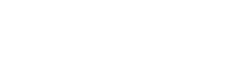 cliente vidanta